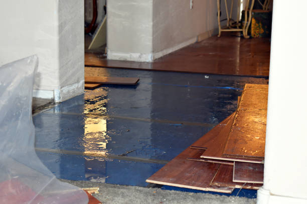 Professional Basement Water Removal technician working in Clayton, MI